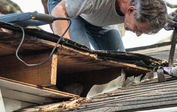 common causes of Bailey Green fascia damage