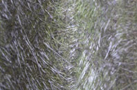 Bailey Green fibreglass roof work